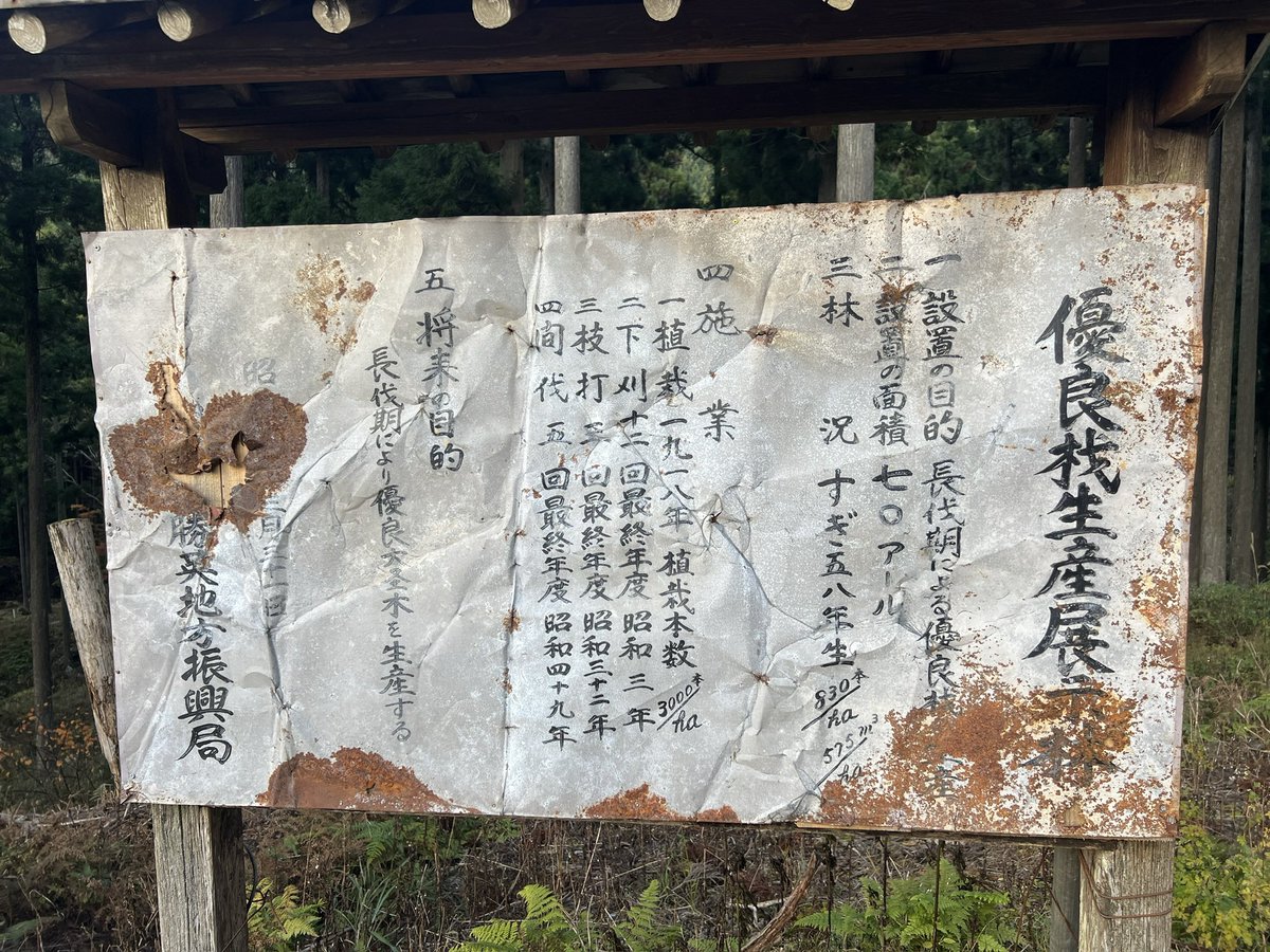 真っ直ぐで立派は杉ばかりで
「すごいすごい」
と興奮してたら、
優良材生産展示林だって
#109歳の人工林
#西粟倉村