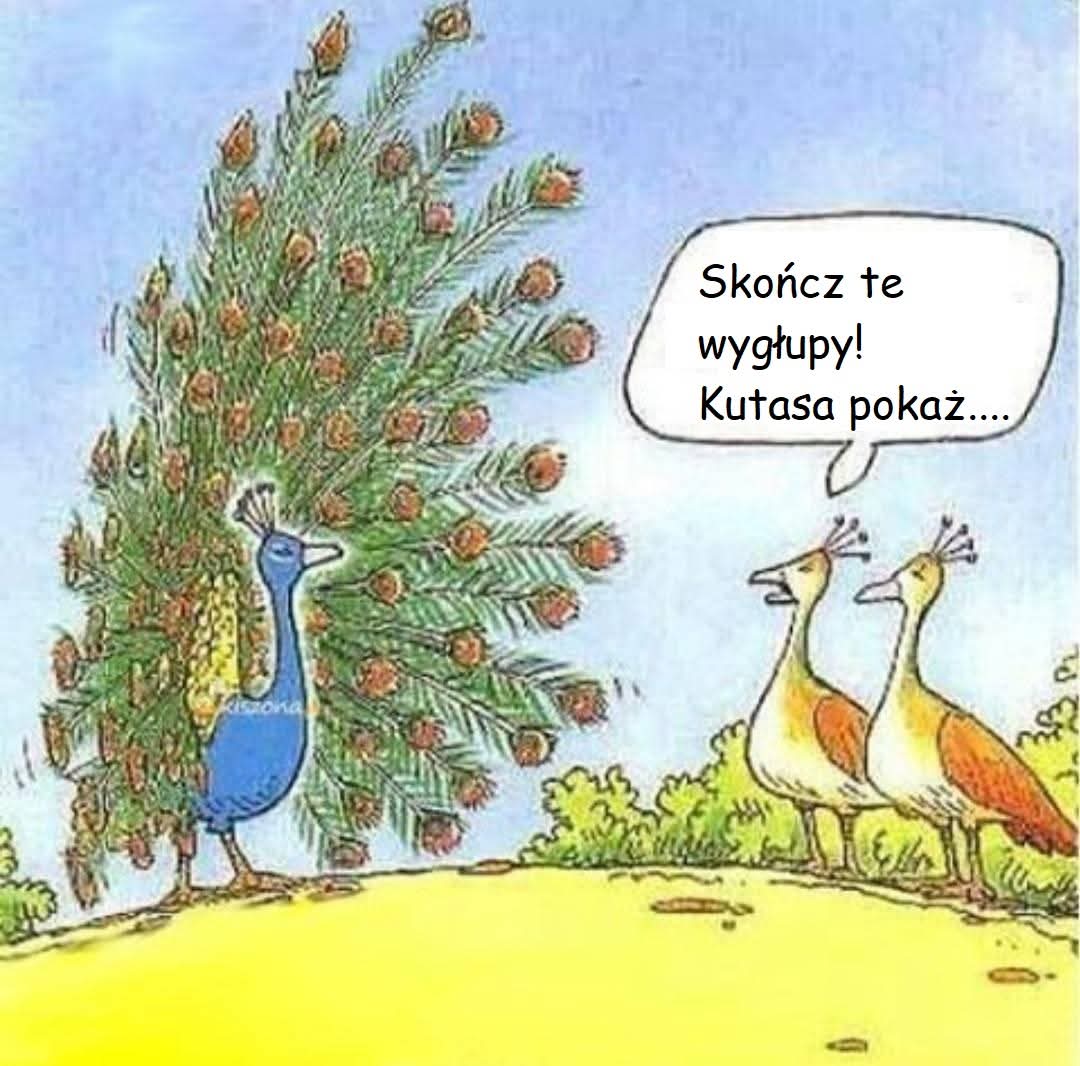 Oesu 🤣
Dzień dobry Wam bardzo 😉😁
#czwartek