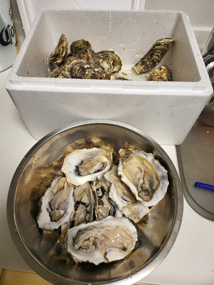 ズッキーページ ズッキー (@R32R33typeM_gts) / Posts / X