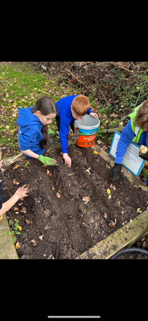 Sharon has been planting up bulbs at Alresford Station with the local primary school, great fun was had by both children and Sharon, cant wait to see the results in the spring #greateranglia   #Alresford