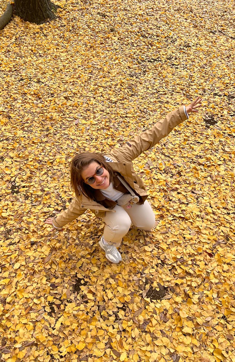 Andreoide tweet media