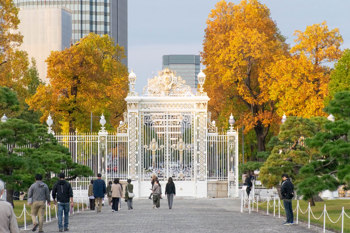 neco_u_'s tweet photo. 2025年11月、#迎賓館 #赤坂離宮 にて、
白い正門と #黄葉 。
#秋 #東京 #迎賓館赤坂離宮 #nikond5300 #stateguesthouse #tokyo
#tokyocameraclub
#nikoncreators
#私とニコンで見た世界 https://t.co/n8XW3M6zDC