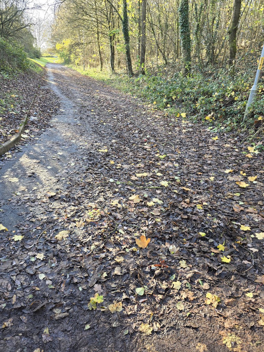 Bad Putty Tat tweet media