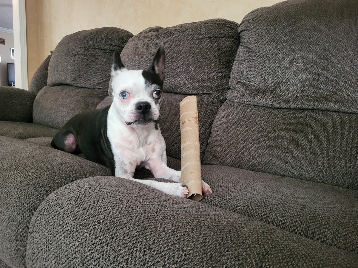 Woof!