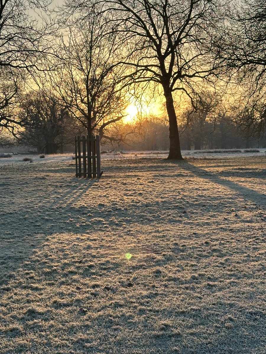 Goldstein Legal tweet media