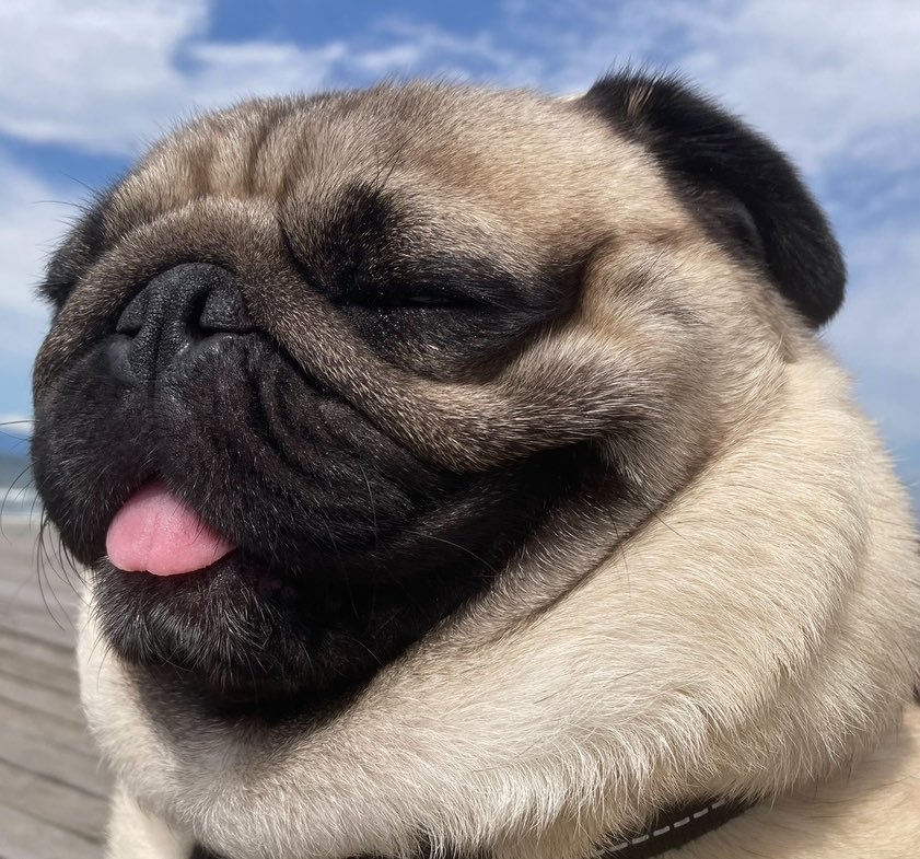 soytter1016's tweet image. 