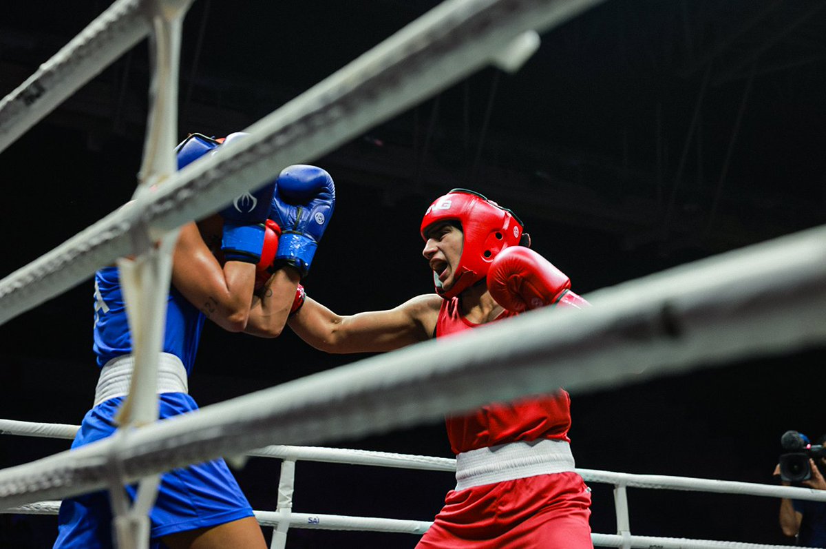 Boxing Federation tweet media