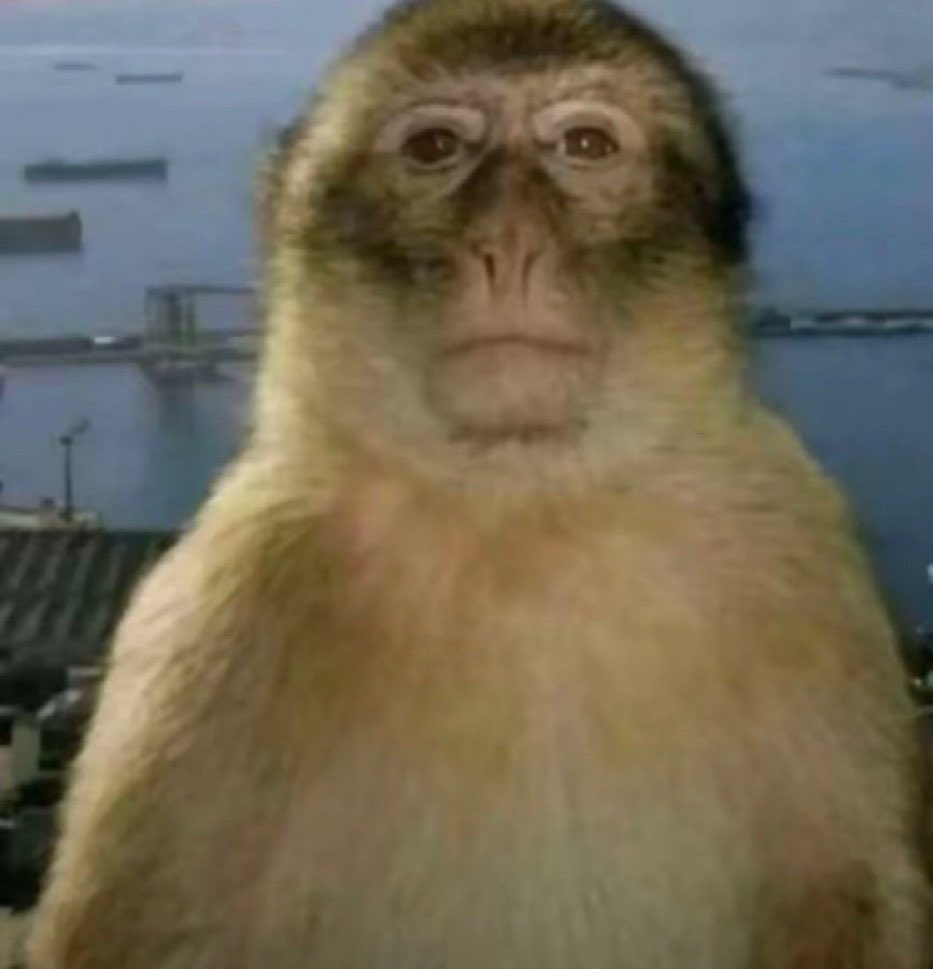 observando o comportamento do irmao hetero do meu namorado e so consigo pensar no quão inferior moralmente e intelectualmente eles sao