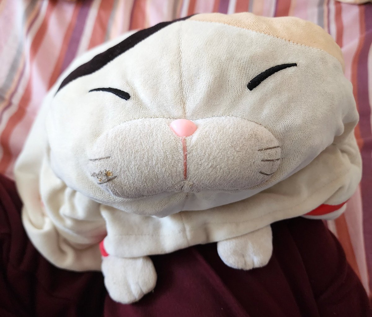 mi93782742's tweet image. 甘えん坊みーさま🐱