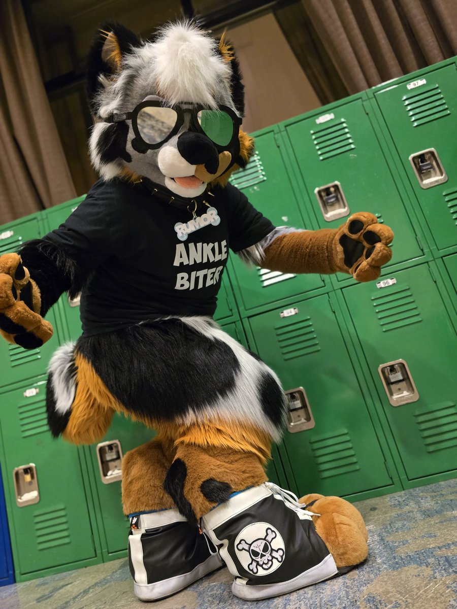 Sneaky Paws Sneakers tweet media