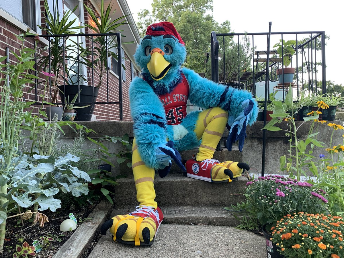 Sneaky Paws Sneakers tweet media