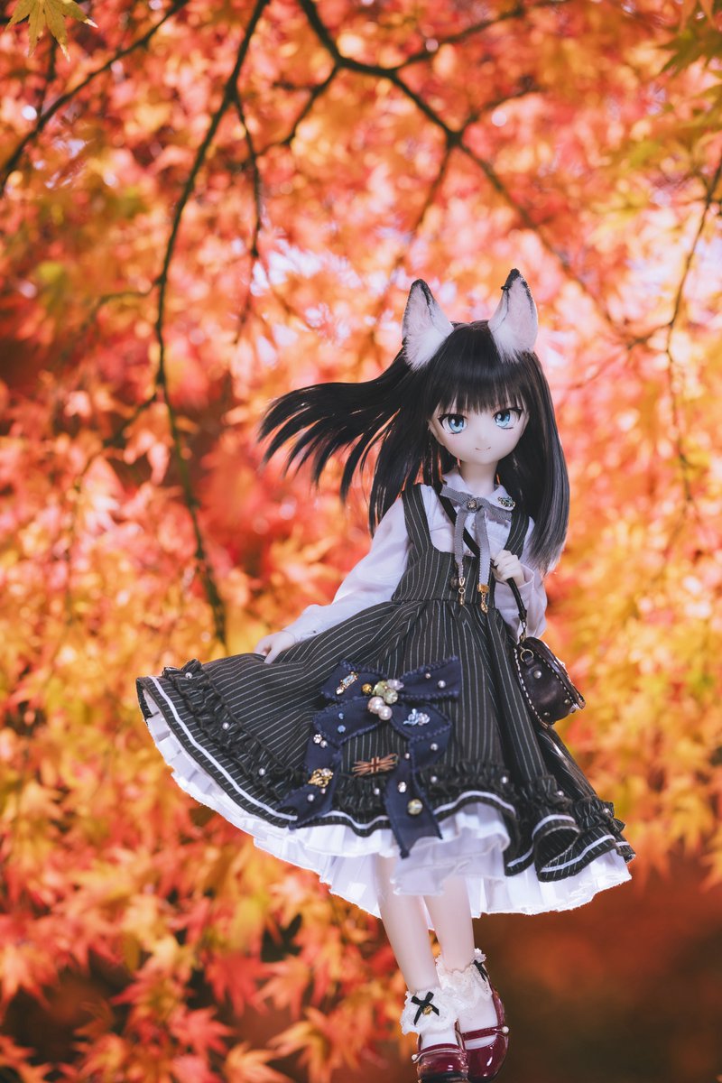 shiitake028's tweet image. 紅葉の万華鏡みたい🍁

#ぽもろこ