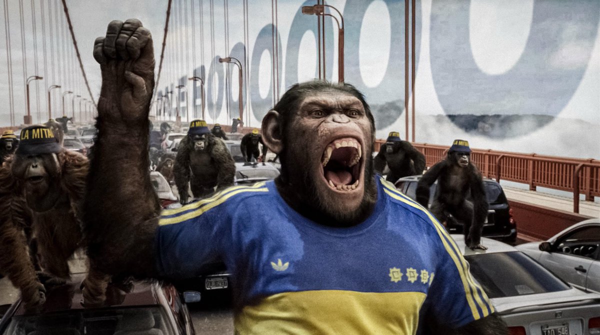 Martín Vago (@martin_vago) on Twitter photo 