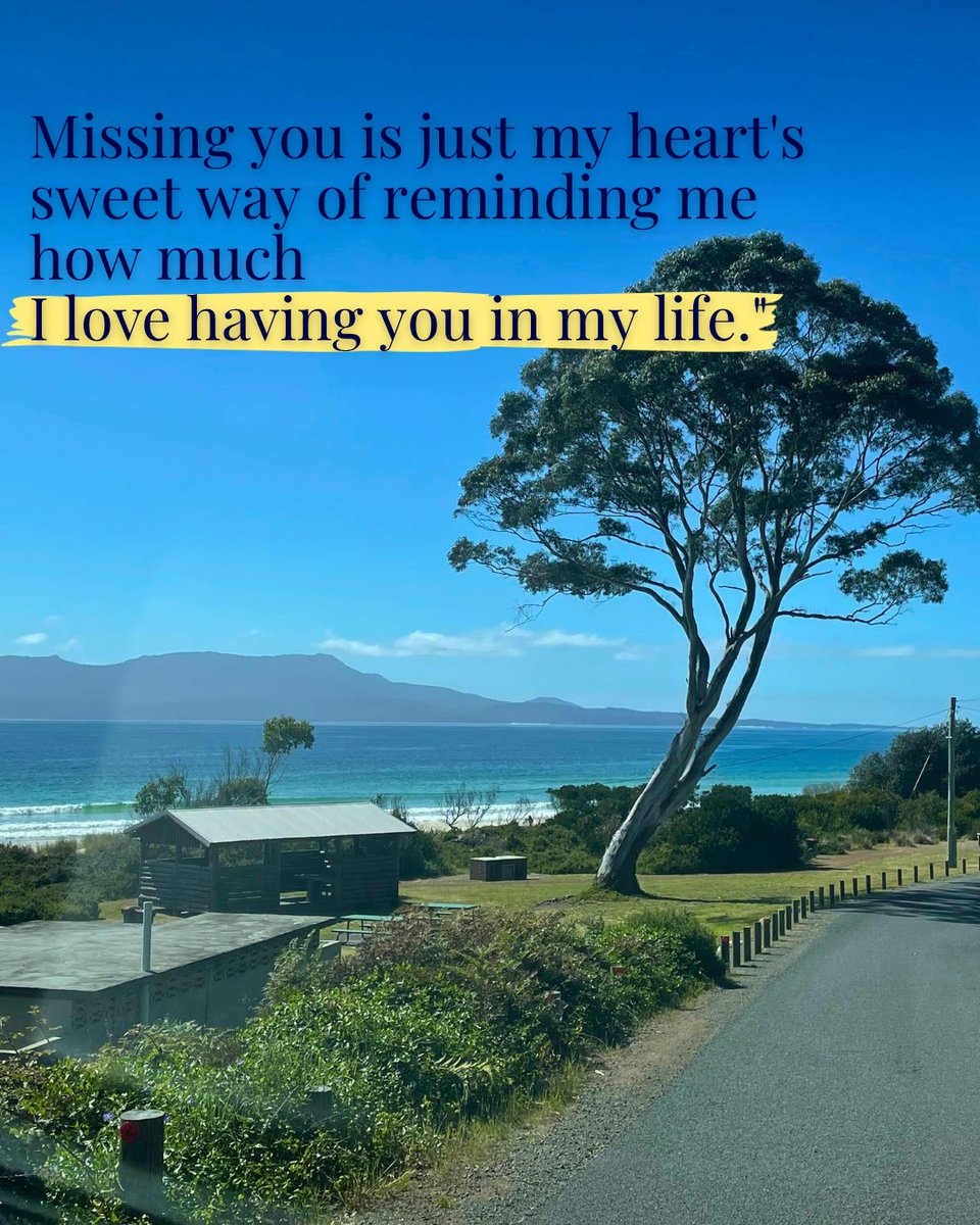 Divya Seth (@divya_sabaa) on Twitter photo 