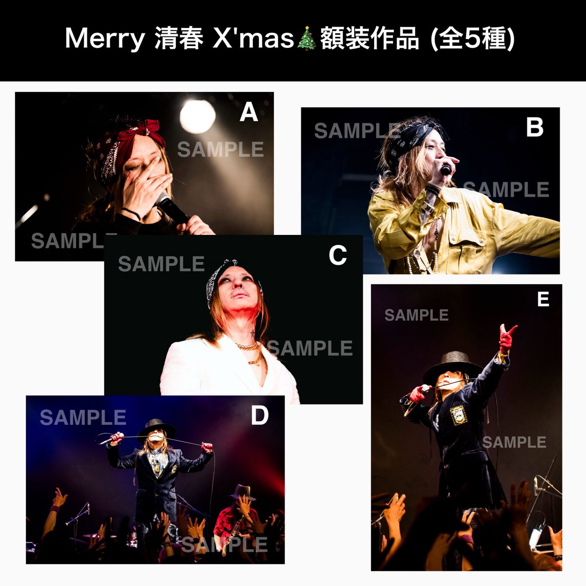 Loyal Code Artists (@kiyoharu_info) / Posts / X