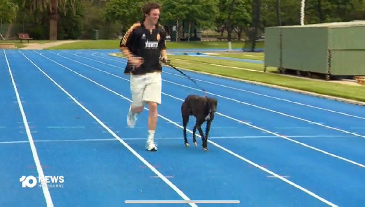 sharpgreyhounds's tweet photo. Colac Kid met Geelong AFL Footballer, Max Holmes on Wednesday! In the lead up to this Saturdays Melbourne Cup Heats. @sandowndogs @WatchDogRacing https://t.co/L0LodQ7jEZ