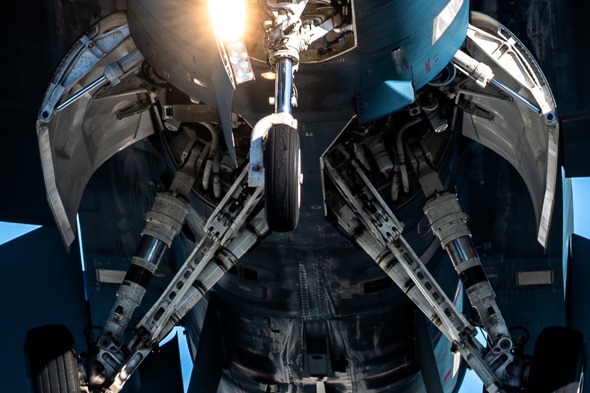 極々一部の界隈が鼻血出すやつ