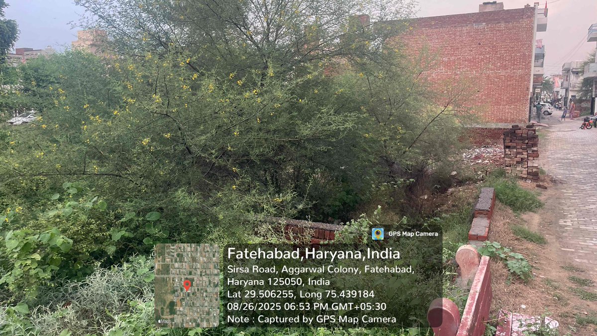 माननीय <a href="/cmohry/">CMO Haryana</a> <a href="/NayabSainiBJP/">Nayab Saini</a> <a href="/csharyana/">Chief Secretary Haryana</a> जी
नगर परिषद फतेहाबाद आमजन की शिकायत पर वैध रिहायशी क्षेत्र के निजी प्लाटों मे उगे कीकर-झाड़ी व अन्य जंगली घास फूस जो विषैले जीव जंतुओं का घर बनकर आमजन मे खतरा बना रहे है।किसी समय वहॉं के निवासियों के साथ अनहोनी होने का इंतजार कर रहे हैं।