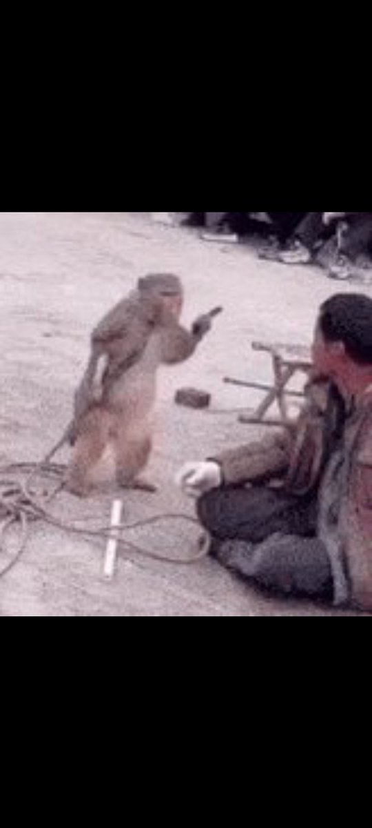 bmpmachine's tweet image. Try dey engage people with small accounts 😞😒 na blue tick Una get Una no be God 😡