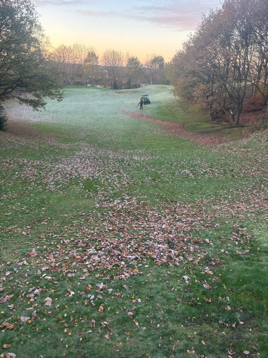 PrestwichGC's tweet image. More leaf removal content! #PGC
