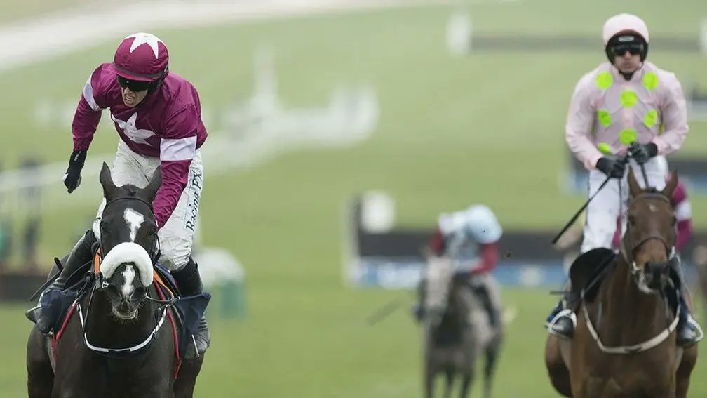 Racing Post Bloodstock tweet media