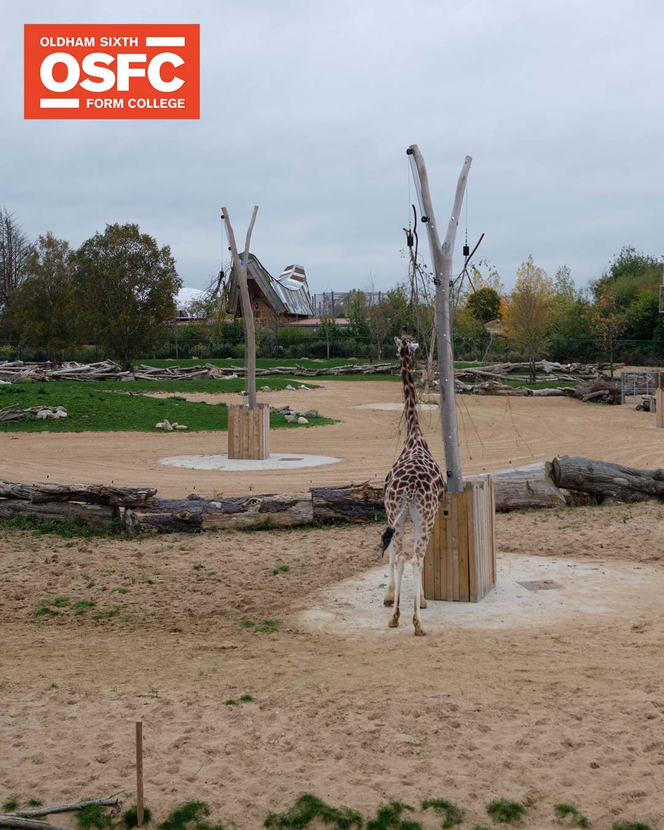OSFC_Info's tweet image. Biology students recently visited Chester Zoo.

The students collected extinction data about as many different species as possible during the visit, to use in statistical analysis back in the classroom at college.