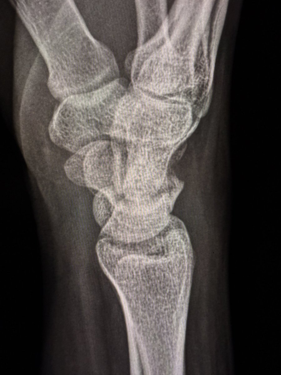 Sameer Raniga tweet media