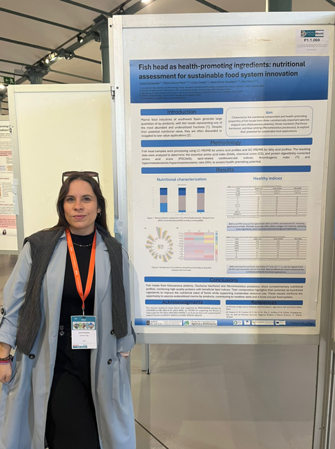 Promiseang Project tweet media