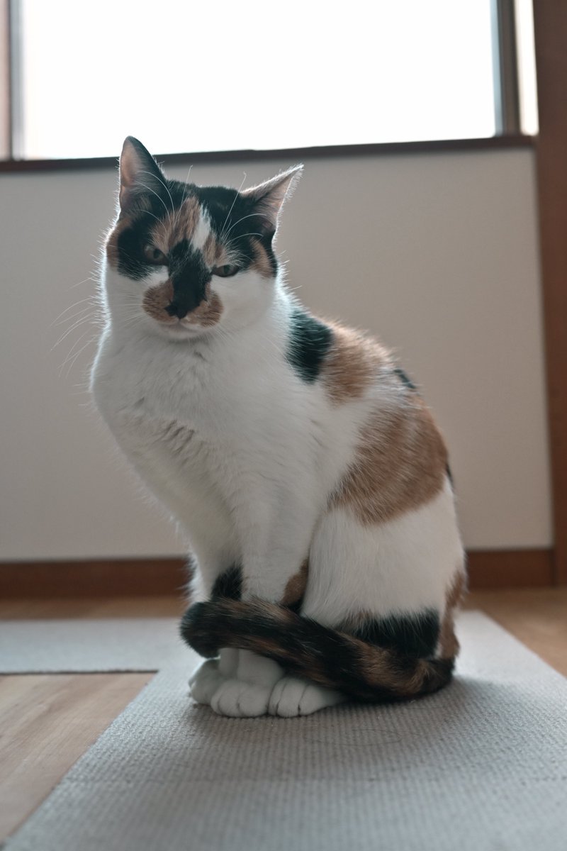 毎日少しずつ、おもしろ映画ができてきている。
早くおみせしたいです。
来年にはなります。
ごめんなさい。