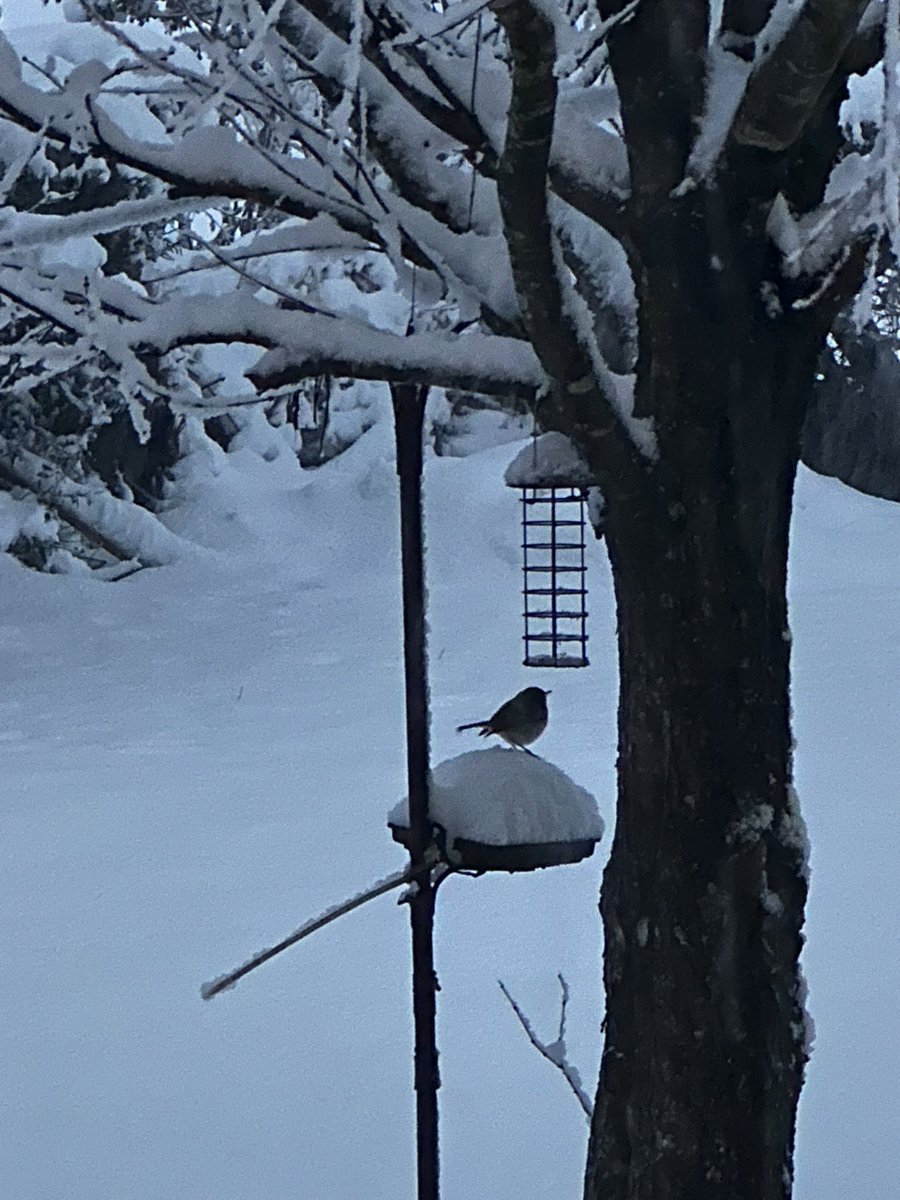 Snow has stopped.  Final update: 25cm!