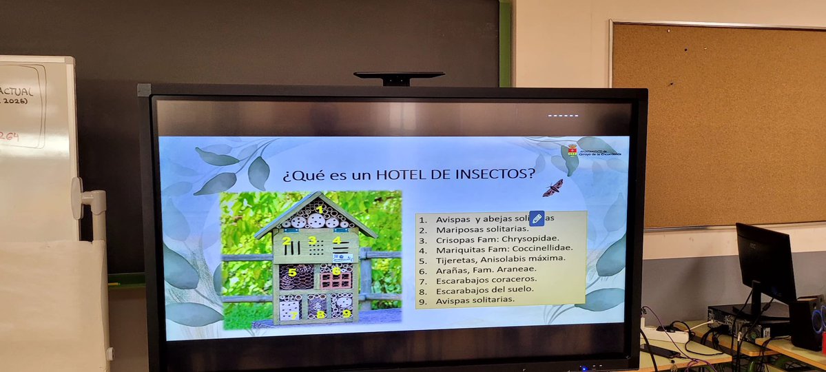 CEIPELVIRA's tweet image. Hoy aprendemos cómo se hace y cómo funciona un “Hotel de Bichos”. @AytoArroyo #yosoydelelvira #megustamicole #puedescontarconmigo
