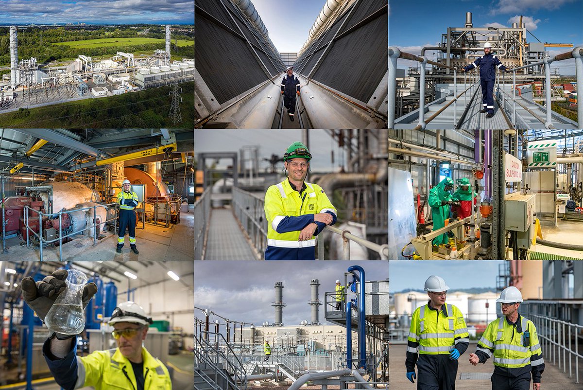 Jonathan Banks tweet media