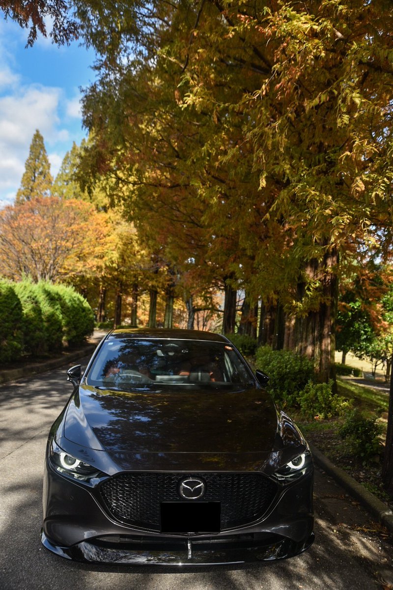 1125ninja's tweet photo. MAZDA3とメタセコイア並木道

#MAZDA3 https://t.co/hMsWUvf4zB