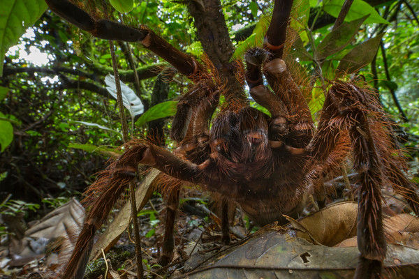 vision3422's tweet image. 『ビジョン洋画劇場』シリーズ

ncode.syosetu.com/s2529f/

kakuyomu.jp/users/picopico…

洋画を意識したB級テイスト満載の作品群。どれも洋画一本分（本一冊分）程度の分量です。それぞれの作品に繋がりはなく、どの作品からでもお読み頂けます。
休日など空いた時間のお供にお気軽にどうぞ！
#Web小説