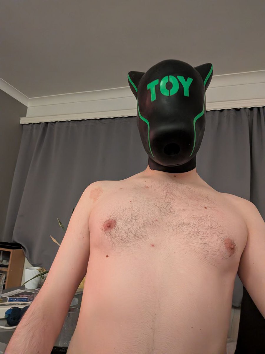 Naughty bat tweet media