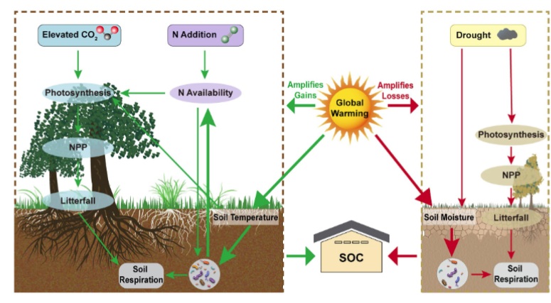 ManuDelgadoBaquerizo tweet media