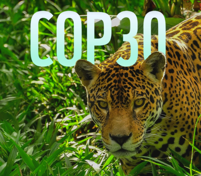 🌍 En la recta final de la #COP30, pedimos decisiones claras y con calendario:

→ Hoja de ruta para dejar atrás los combustibles fósiles
→ Hoja de ruta para acabar con la deforestación en 2030
→ Financiación real: cumplir los 300.000 M$ hasta 2035 y asegurar las fuentes para