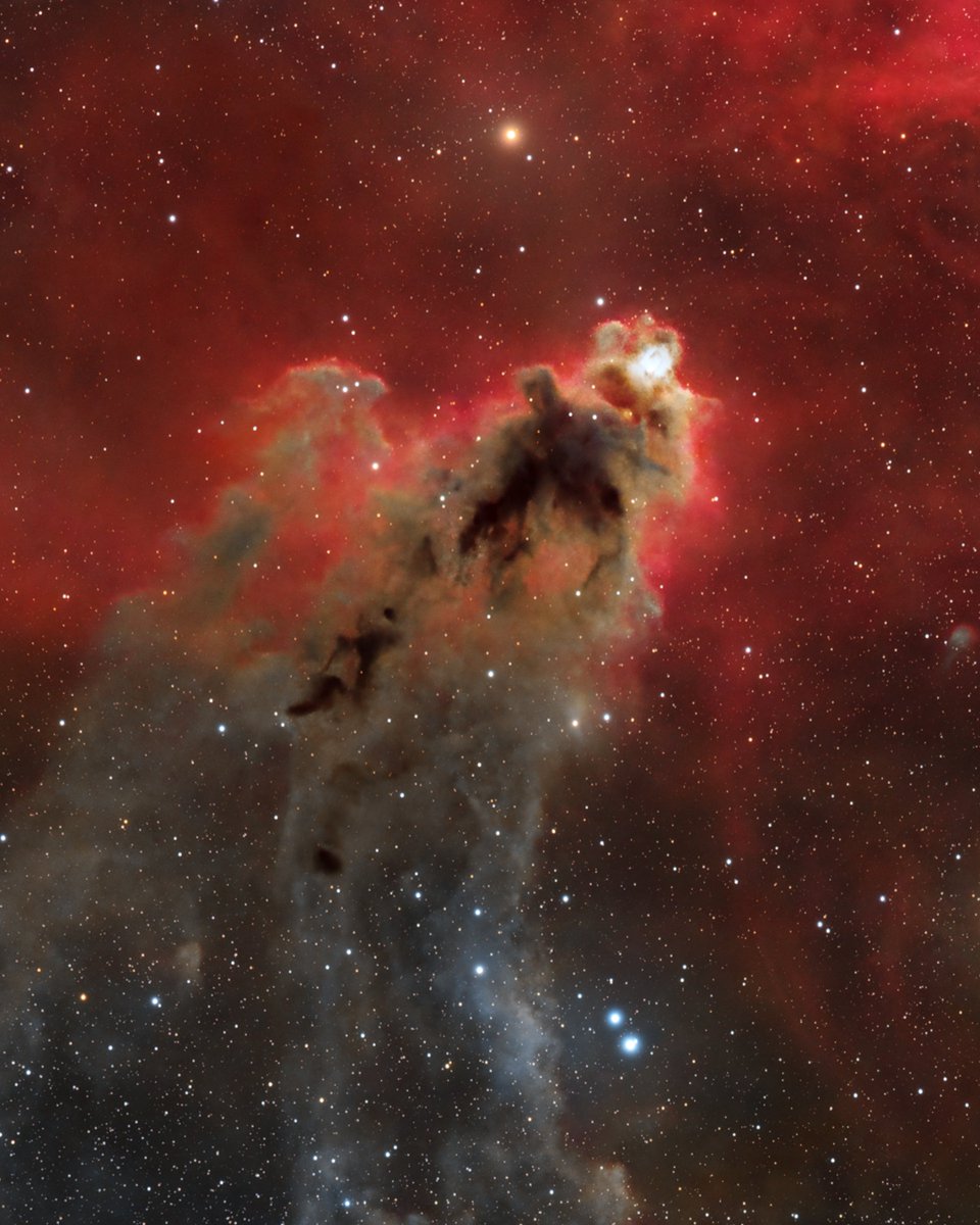 The Boogeyman Nebula 🌌

Here's a fun astrophotography target to try with your telescope this season - but be warned, this one takes TIME!

LDN 1622 is a dark nebula in the constellation Orion that resembles 'a dark figure with a head and arms' (I kinda see it)

To capture this