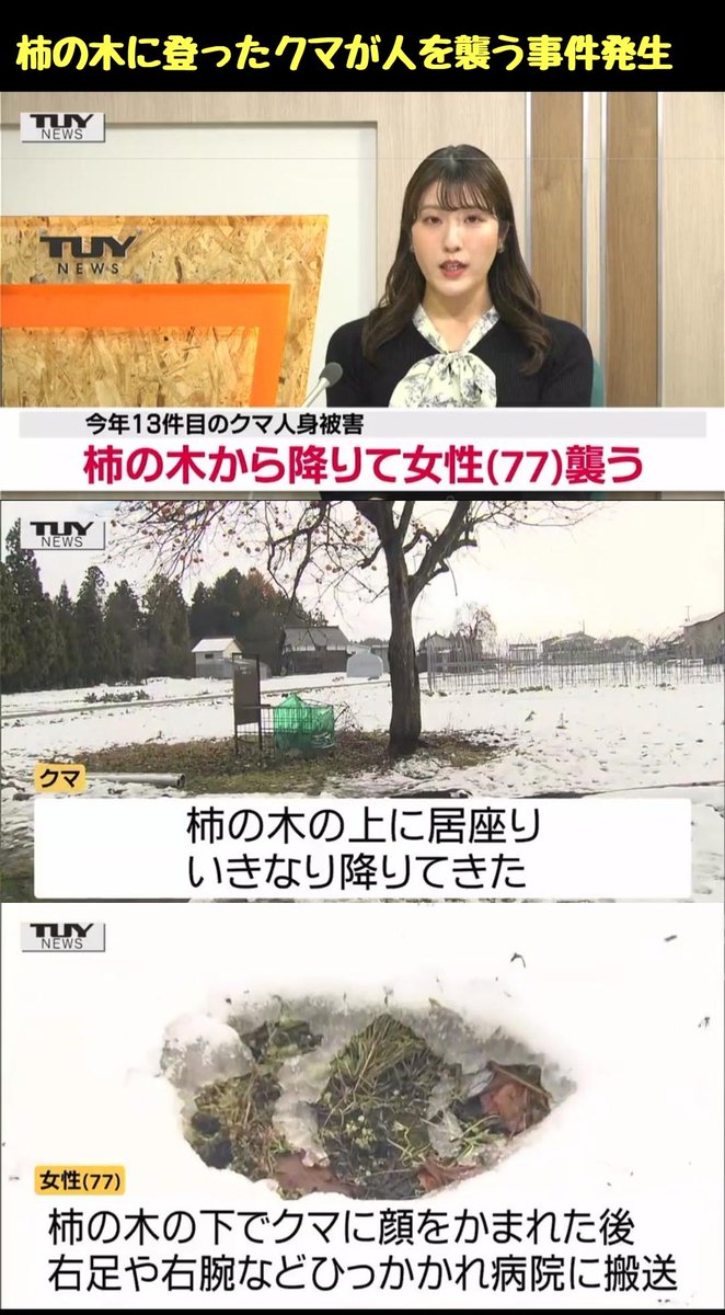 滝沢ガレソ tweet media