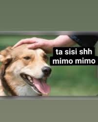 ivanklic's tweet photo. @Tooottii1 @LucasAbriata https://t.co/zD8v4SelmU