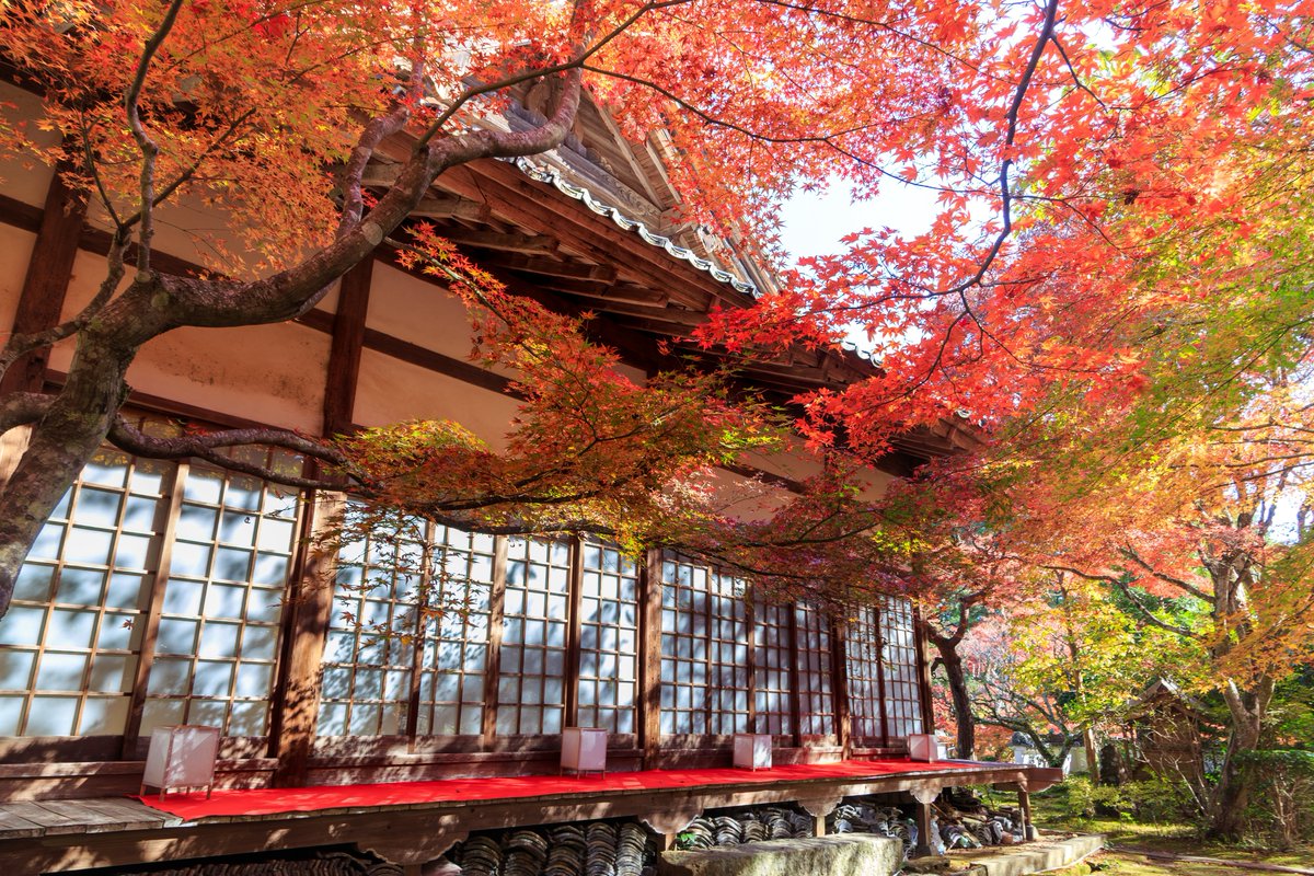 kouka17's tweet image. こんなにきれいなのに人少なくてとても良かった
#eos6d