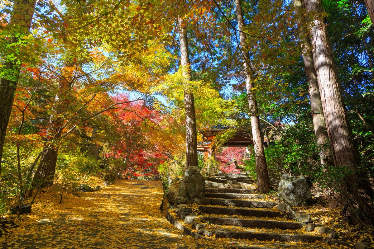 kouka17's tweet image. こんなにきれいなのに人少なくてとても良かった
#eos6d