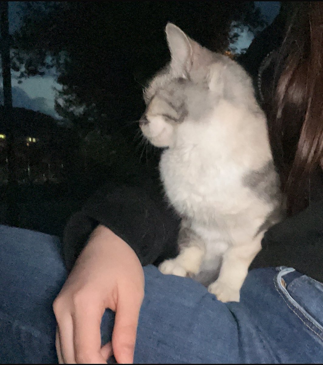 yerini sevdi bence😜😜