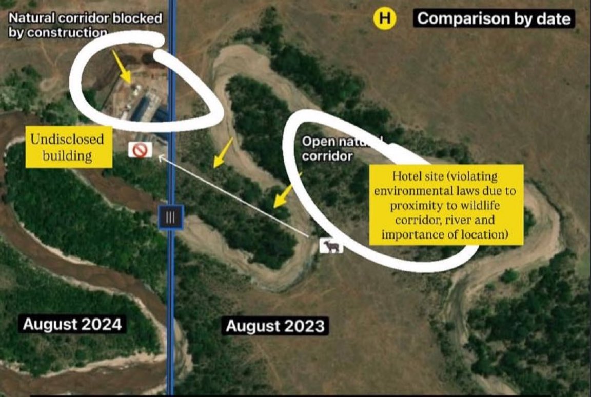 amenya_nelson's tweet image. This is what @RitzCarlton never disclosed in their drawings. It might be a tiny non disclosure but that’s the key to the whole story. It sits right at the dead centre of the natural wildlife corridor between 🇰🇪 and 🇹🇿 @Marriott if you are not interfering with ecosystems why did…