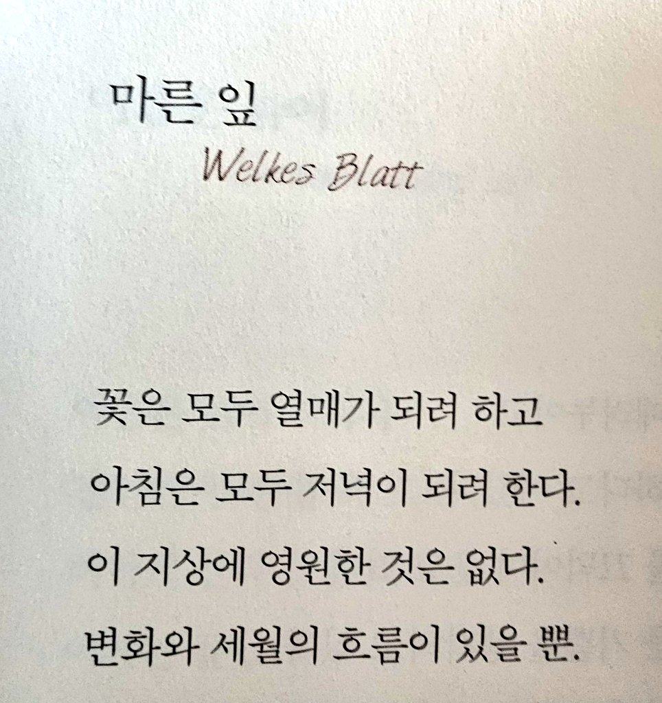 초승달 tweet media