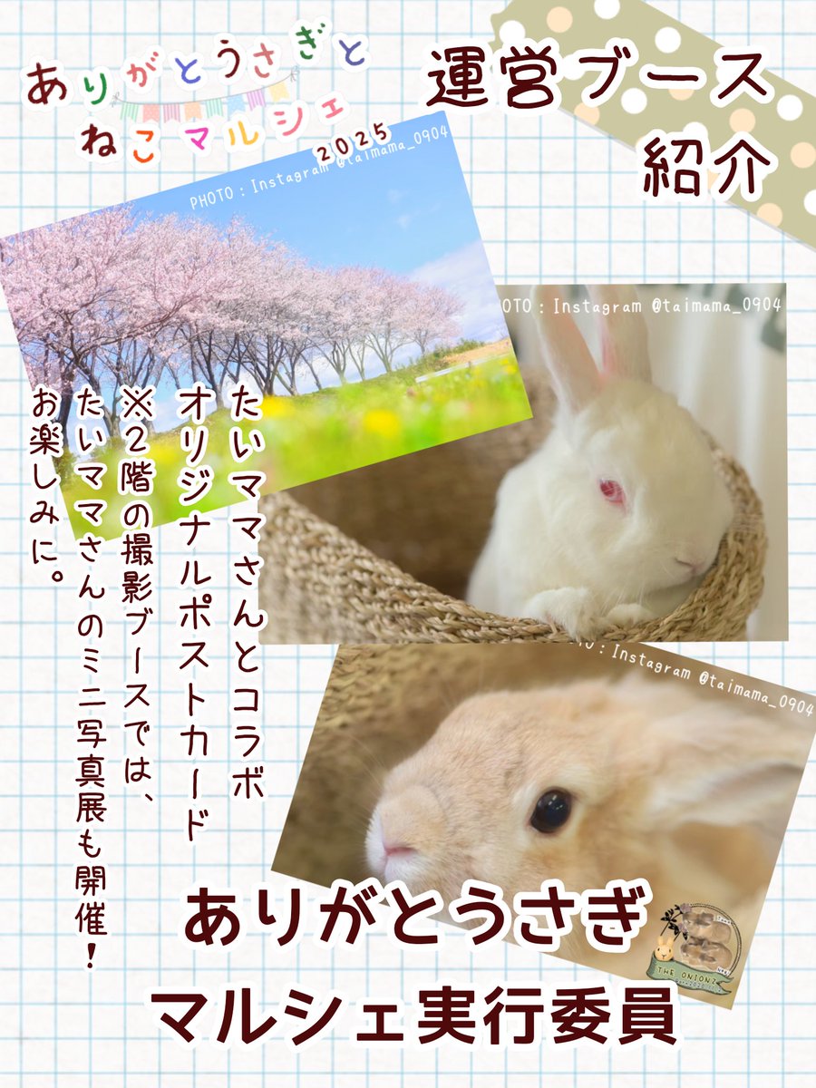 🐰運営ブース🐰 ○当店の売上げの一部を、他県で活動されているうさぎ