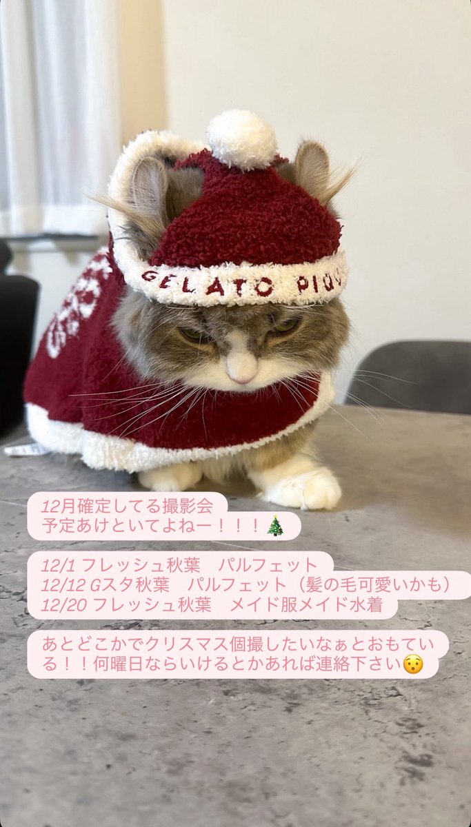 12月撮影会予定♡