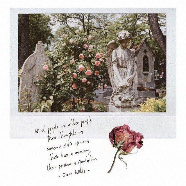 Jihvoon's tweet image. Guess who decided to disguise himself as the snow. An all white look chosen, and my blond hair completes the disguise like perfect flakes of falling snow. Goofy thought of it suddenly rises the moment I see my own reflection standing in this much white.