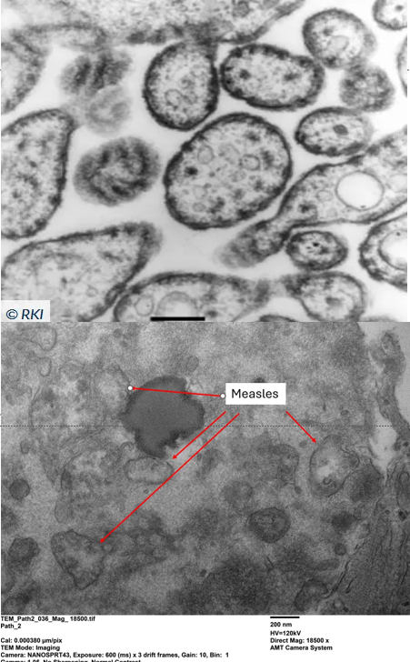 Jamie Andrews tweet media