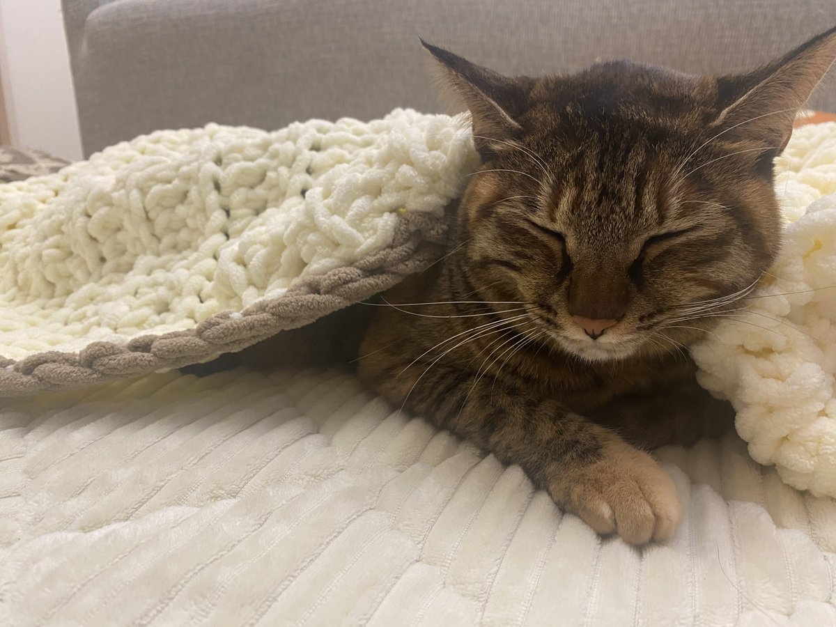 minene_go's tweet image. 可愛いね